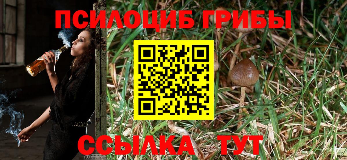 Галлюциногенные грибы Magic Shrooms  Псилоцибиновые грибы Psilocybe  Егорьевск  Вход с VPN 